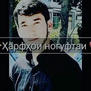 Рози Дили Ошикон