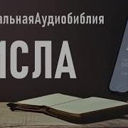 Книга Числа Уникальная Аудиобиблия