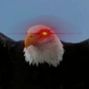 Usa Eagle Sound Meme