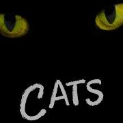 Cats Trailer Ost Memory