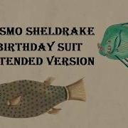 Cosmo Sheldrake Birthday Suit Extended Electro Mix