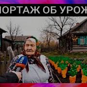 Мемные Звуки Из Тик Тока