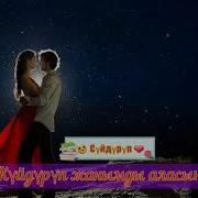 Мая Токон Суйдуруп Куйдуруп