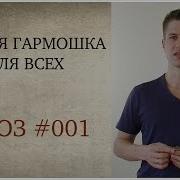 Губная Гармошка Для Всех Блюз 001