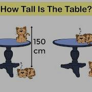 Homework From China How Tall Is The Table