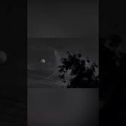 Трогательное Видео Нашид