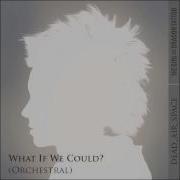 Trent Reznor Atticus Ross What If We Could Orchestral Cover