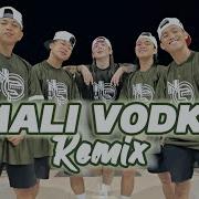 Mali Vodka Remix