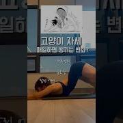 초록모자 고양이 자세