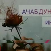 Дунё Ачаб Дунё Шид Дунёи Номардон Шид