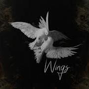 Wings Fearstbeats