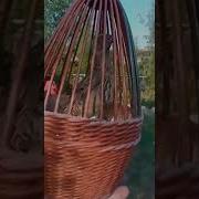 Йоввойи Бедан Сайраши