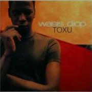 Everything Is Never Quite Enough Wasis Diop