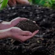 Какие Бывают Почвы 4 Класс