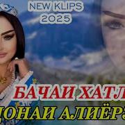 Гулдонаи Алиёрзода 2025
