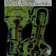 Silent Partner Acoustic Alchemy