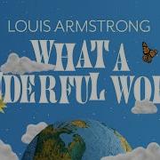 Wonderful World Song