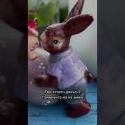 У Зайца Опухло Яичко
