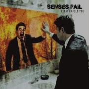 Nj Falls Into The Atlantic Senses Fail