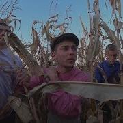 Liolik Ua Краде Кукурудзу