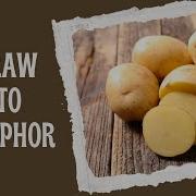 Metaphors Raw