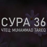 Сура 36