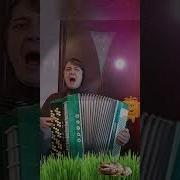 Лягушка Три Желания Под Баян