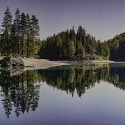 Лечение Птичьим Щебетом