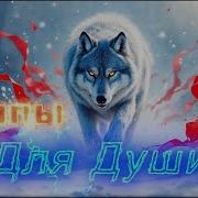 Услышишь Вой Среди Ветров Клипы Для Души Жара Топ Music Videos Русские Песни Музыка Music