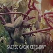 Sacred Cacao Ceremony And Gong Sound Healing