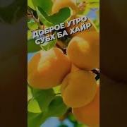 Добрый Утро Субх Ба Хайр Бошад