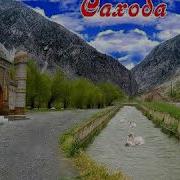 Аёл Кишини Вазифалари Шайх Абу Аммор