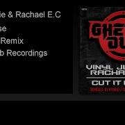 Vinyl Junkie Cut It Loose Dj Hybrid Remix