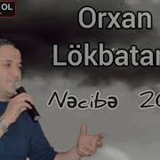 Orxan Lokbatanlı Necibe