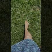 Босыми Ногами По Росе