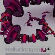 Hallucinogen In Dub Live
