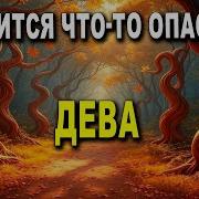 И Королём Станет Шут