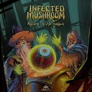 Infected Mushroom Flamingo ᴴᴰ