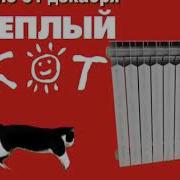 Тёплый Кот Смешная Реклама