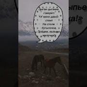 Частушки Цыган Цыганке Говорит