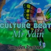 Culture Mr Vain Rington