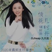 情花几时开 Dj Candy Mix版