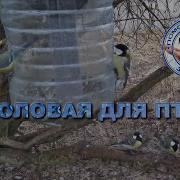 Отодвинулись Немного Или Улетели
