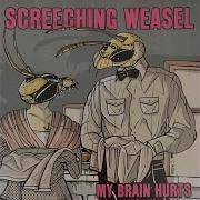 Screeching Weasel Don T Turn Out The Lights
