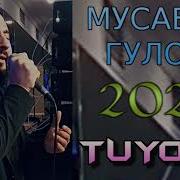 Мусавири Гулоб 2024 Эй