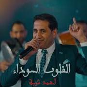 وبما ان الاصيل متهان أحمد شيبه