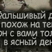 Одами Эй Одами Суруди Бехтарин 2020