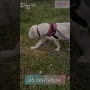 Руку Протяни Шагни На Встречу