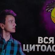 Цитология Органоиды Егэ Биология