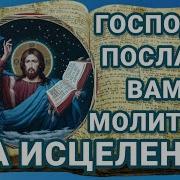 Человеколюбче Премилосердый Господи Недуги Наша Понесый И Ранами Твоими Нас Исцеливый Пред Твоим Величеством Припадающе Смиренно Молим Тя